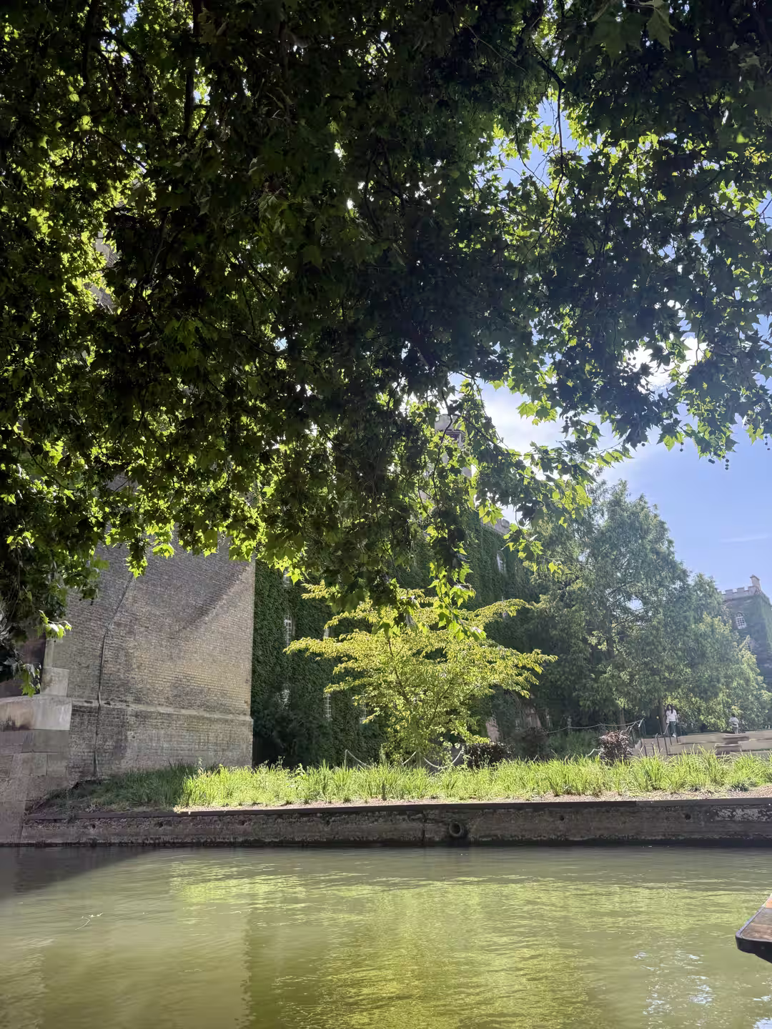 A peaceful willow-lined stretch of the River Cam, Cambridge