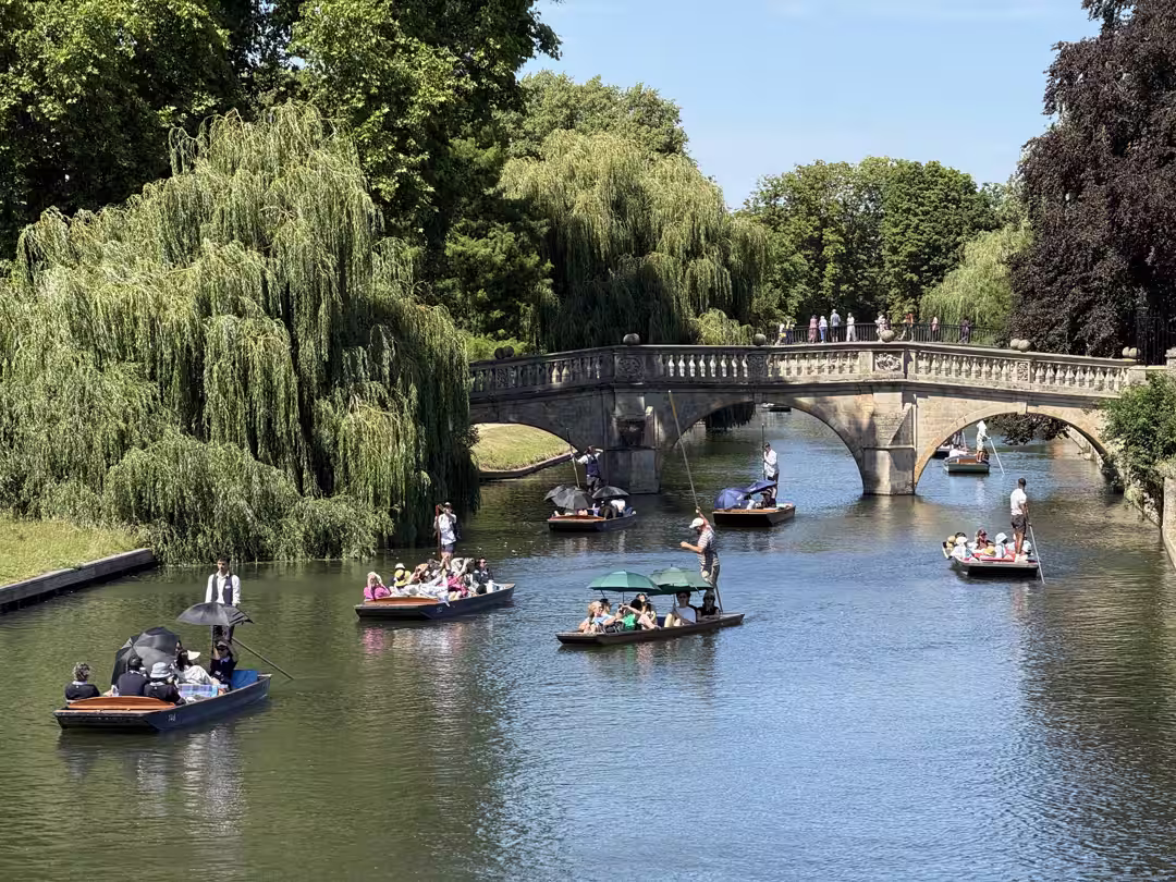 Punts on the River Cam past the Cambridge College Backs in summer