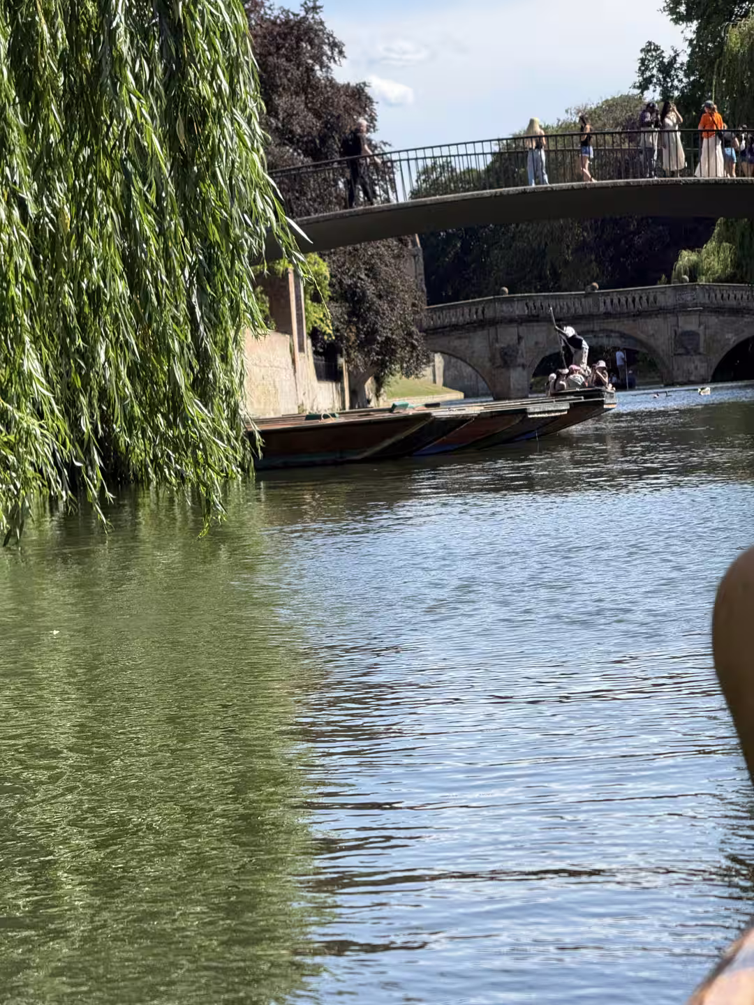 Weeping willows over the green River Cam, Cambridge