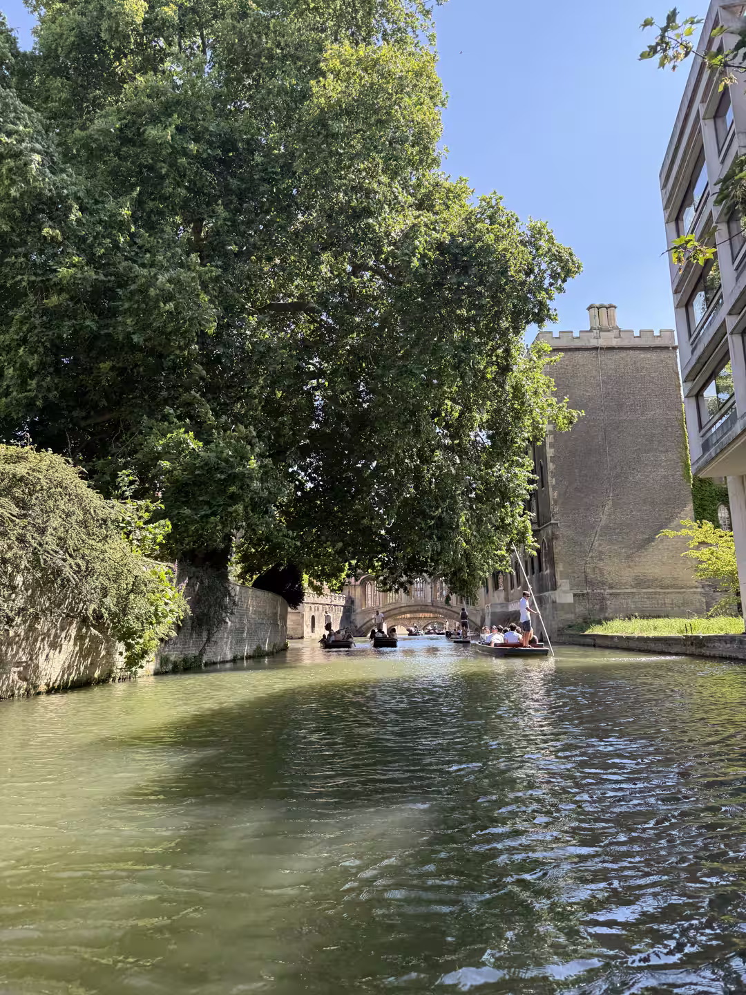A leafy riverside path along the River Cam, Cambridge