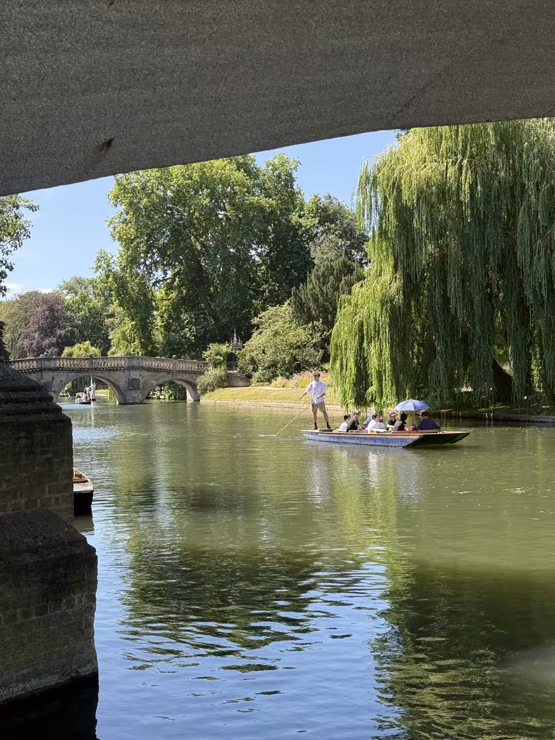 Still water and willows on the River Cam, Cambridge