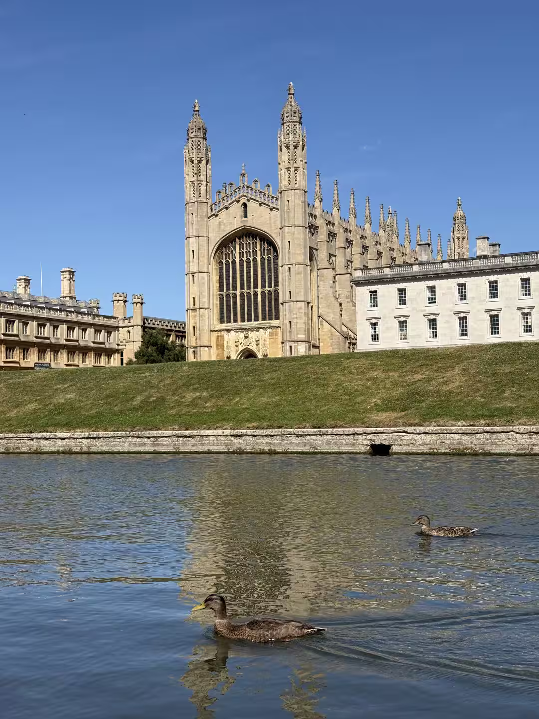King's College Chapel and a duck on the River Cam, Cambridge