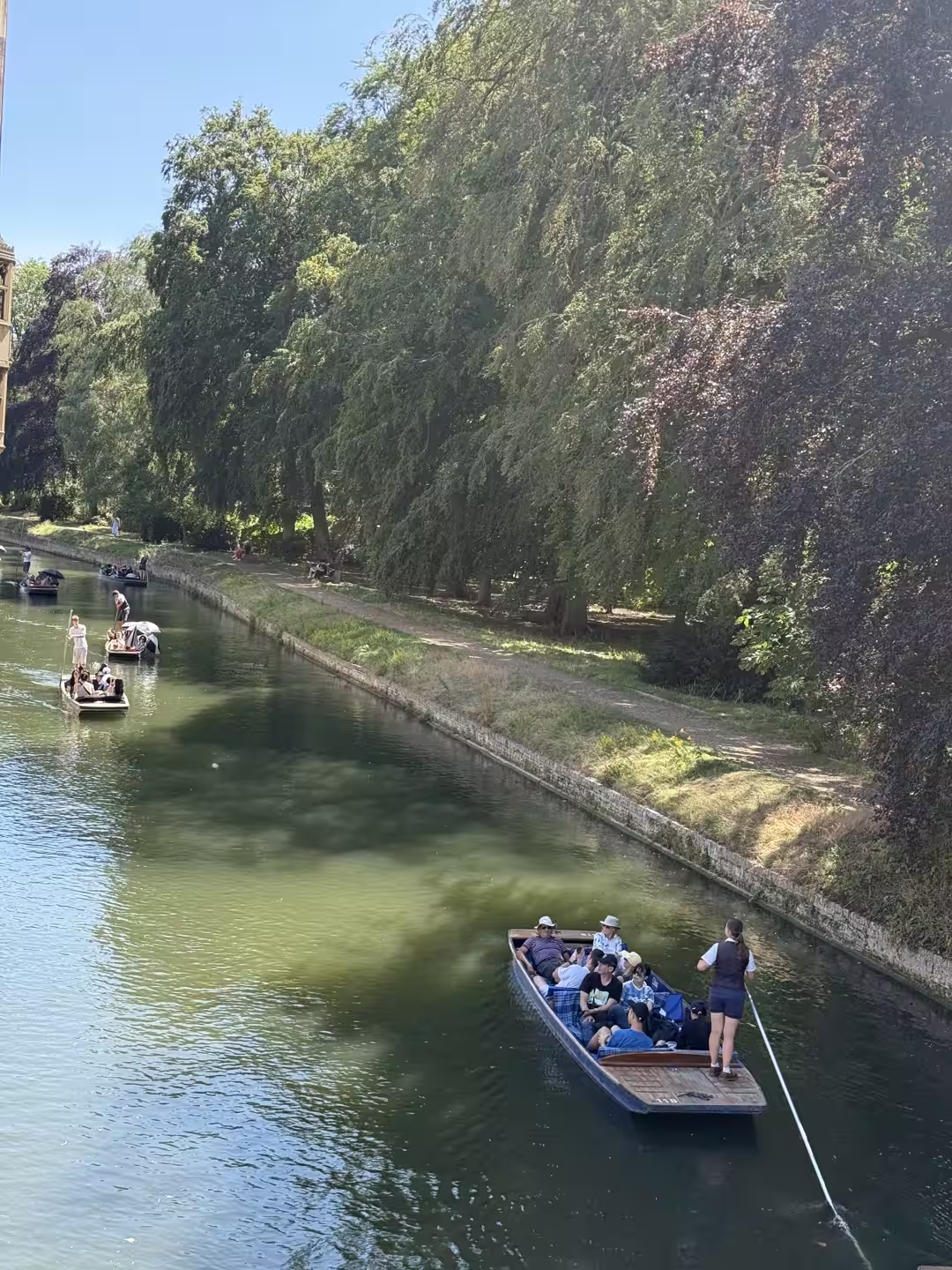 A punt with passengers on the River Cam, Cambridge